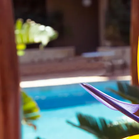 Swiss Moraira Hotel - Adults Only Hotel