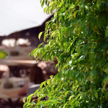 Ξενοδοχείο Swiss & - Adults Only Moraira