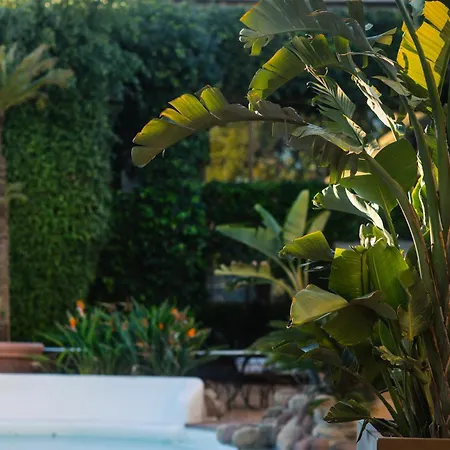 Swiss Moraira Hotel & Spa - Only Adults