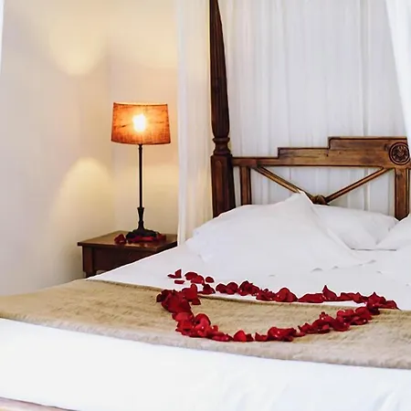Hotel Swiss & - Designed For Adults 4*